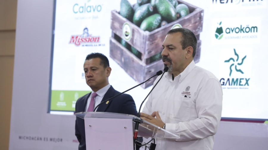 Michoacán exporta aguacate certificado para el Super Bowl